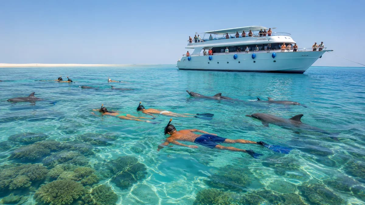 Guests snorkeling in the clear turquoise lagoon at Dolphin House with bottlenose dolphins and a sandbank behind, Hurghada, Red Sea