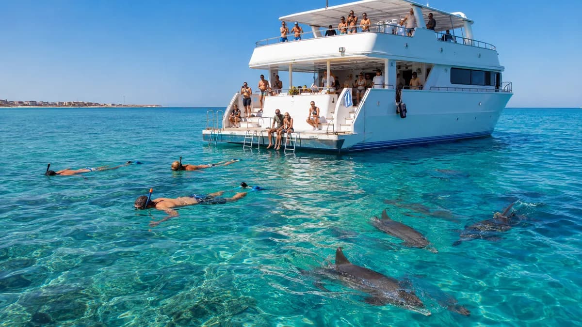 Snorkelers entering the water from the boat swim platform as wild dolphins swim past at Dolphin House, Shaab El Erg, Hurghada