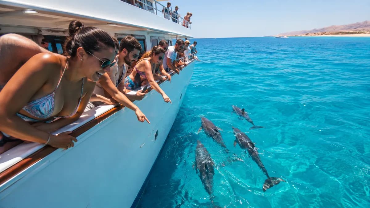 Happy travellers on deck watching wild dolphins swim beside the boat on a Dolphin House snorkeling trip from Hurghada