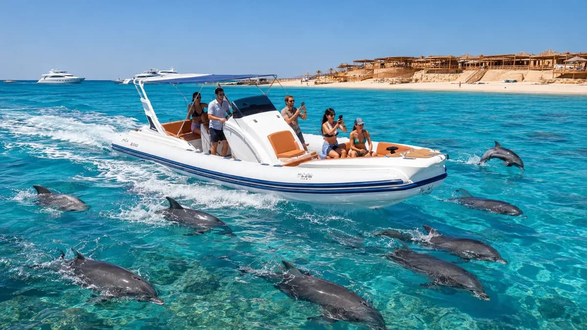 A pod of bottlenose dolphins swimming through shallow turquoise water around a private speedboat of guests, with the sandy Orange Bay shoreline and straw parasols behind, on a speedboat and dolphin watch trip from Hurghada