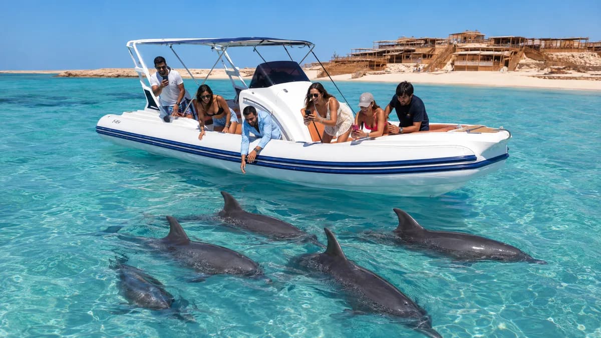 Guests leaning over the side of a speedboat to watch five dolphins glide past just below the surface in clear turquoise water off Orange Bay, Hurghada