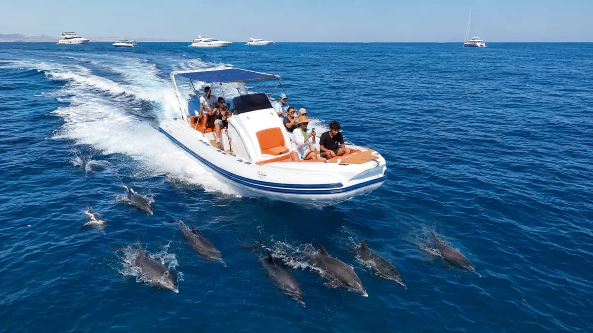 Aerial view of a speedboat cruising across the deep blue Red Sea with a pod of dolphins riding alongside in its wake, yachts anchored on the horizon near Hurghada